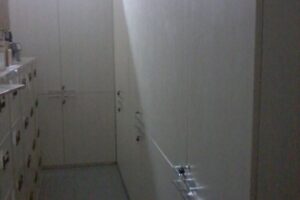 BCA (1)