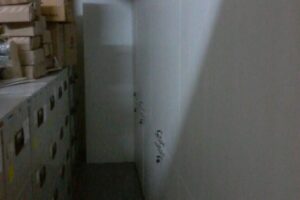 BCA (4)